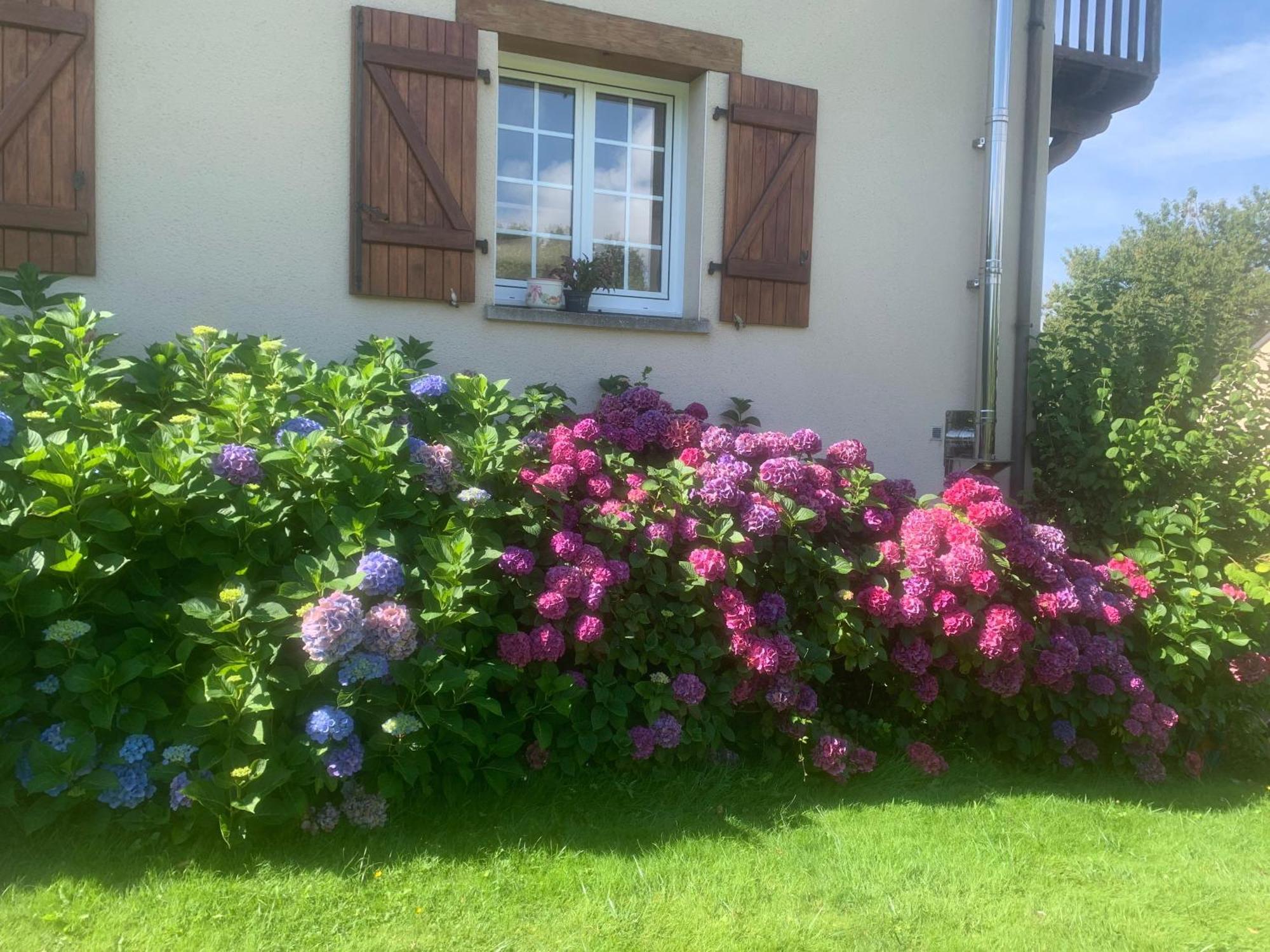 Chambres d'hôtes Le Bignon Villaines-la-Juhel Exterior foto